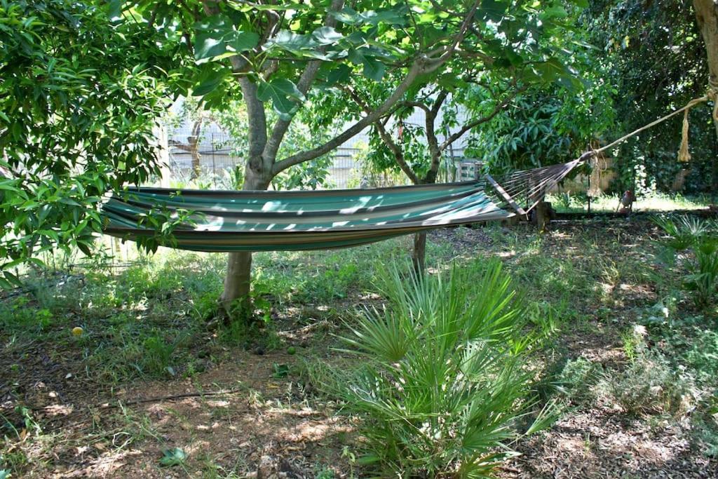 Camera Indipendente Con Bagno Immersa Nel Verde Bagheria Luaran gambar