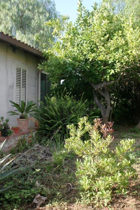 Camera Indipendente Con Bagno Immersa Nel Verde Bagheria Luaran gambar